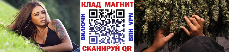 Где найти наркотики Курчалой КОКАИН  МЕФ  Псилоцибиновые грибы  Конопля  Гашиш  СОЛЬ 