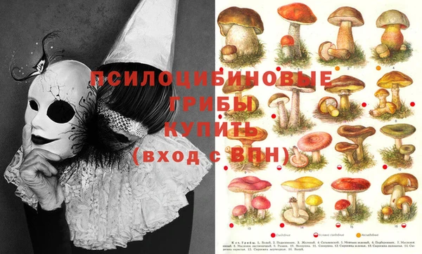 метадон Няндома