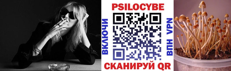 Псилоцибиновые грибы Magic Shrooms  Курчалой 